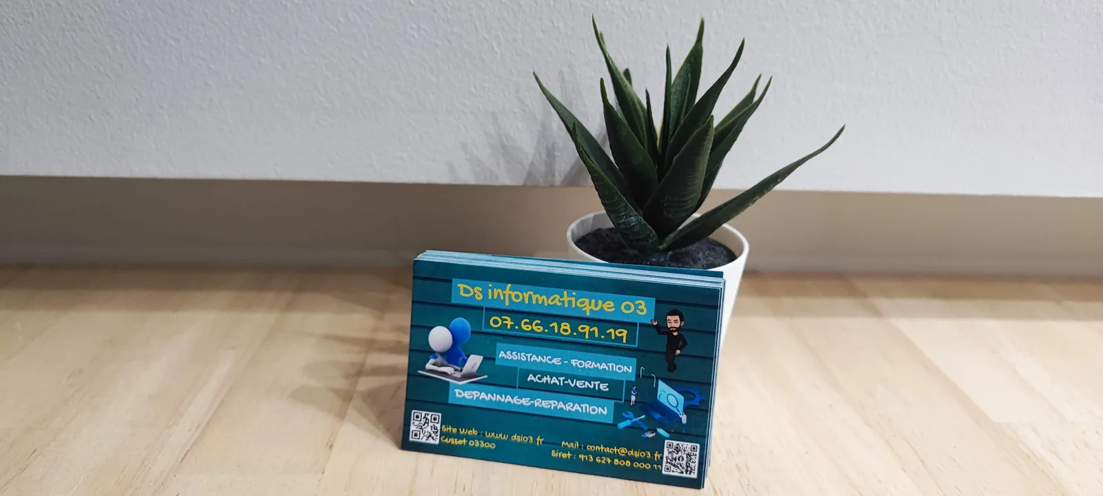 Carte de visite DS Informatique 03 avec une plante